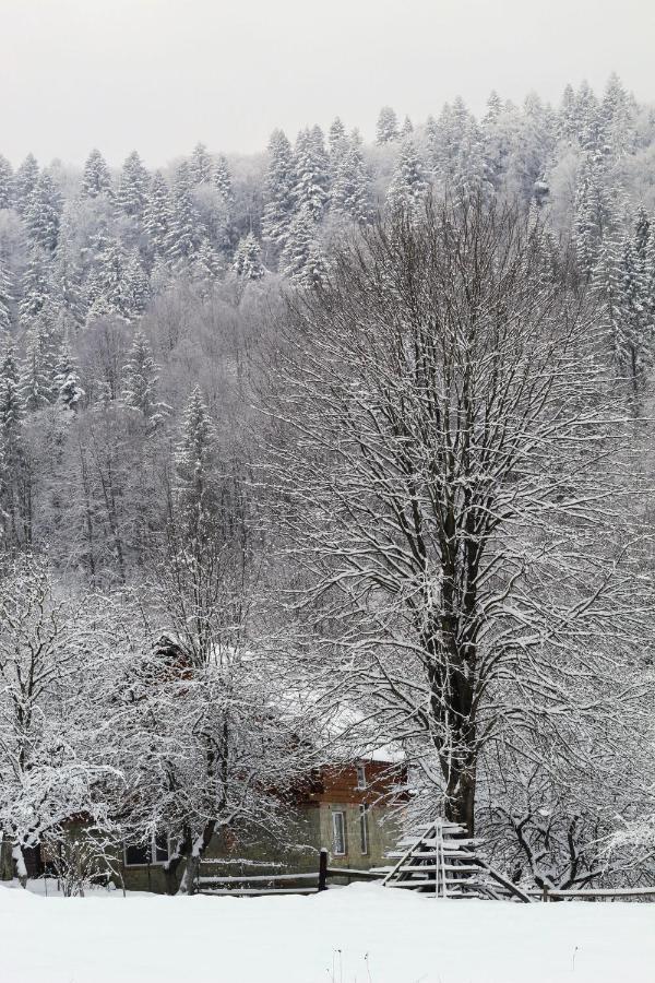 Багрівчанка Yaremche Exterior foto
